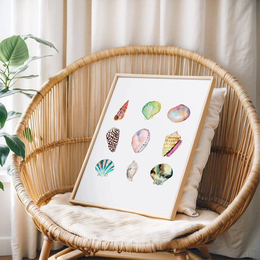 Shell Collection Print | 8 x 10