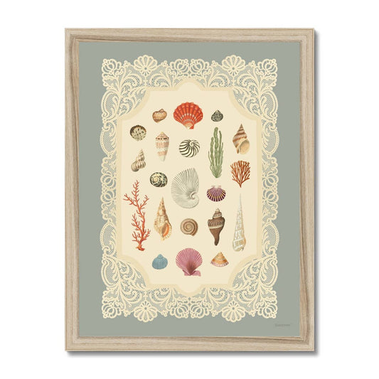 Specimens of the Sea Art Print | 11 x 14