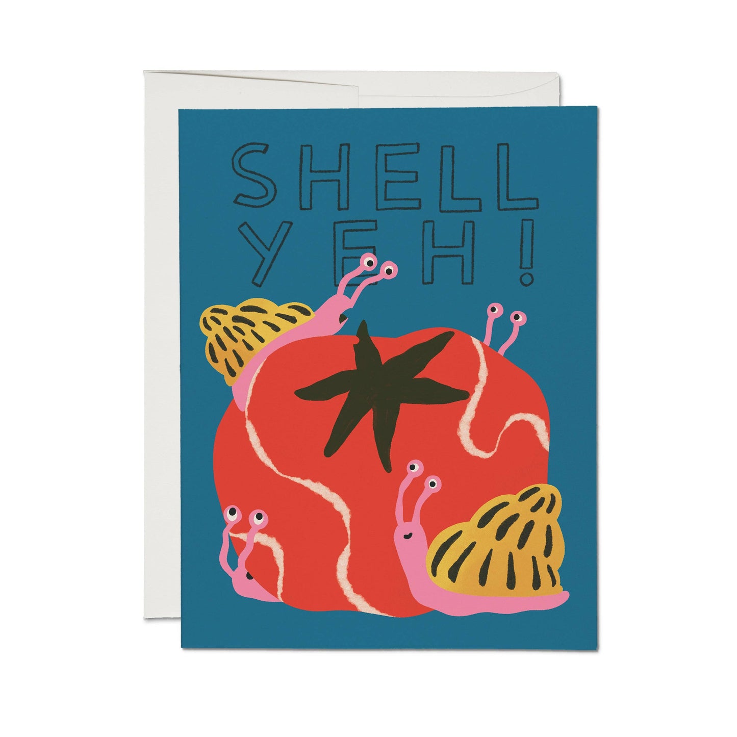 Shell Yeh Congrats Card