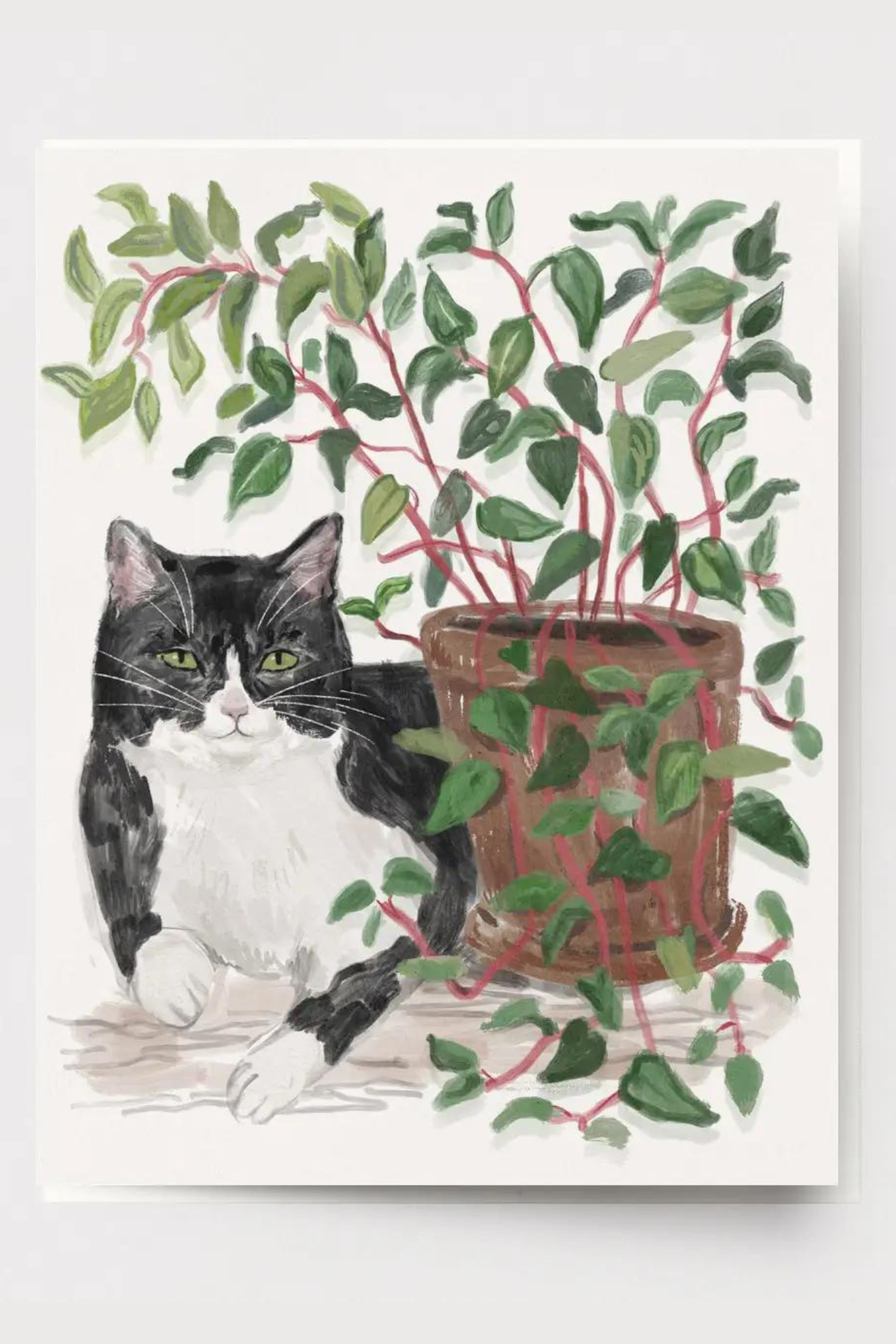 Houseplant Cat Card