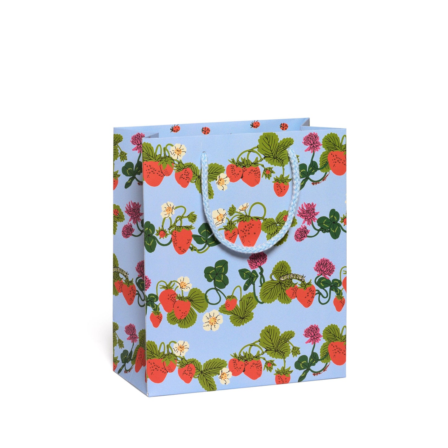 Berries and Bugs Gift Bag | Medium