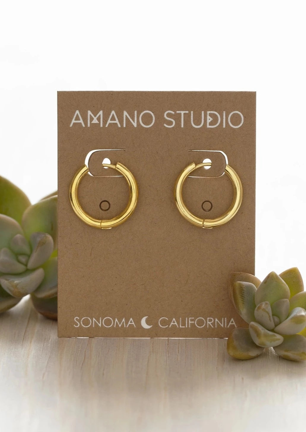 Small Gold Hoops