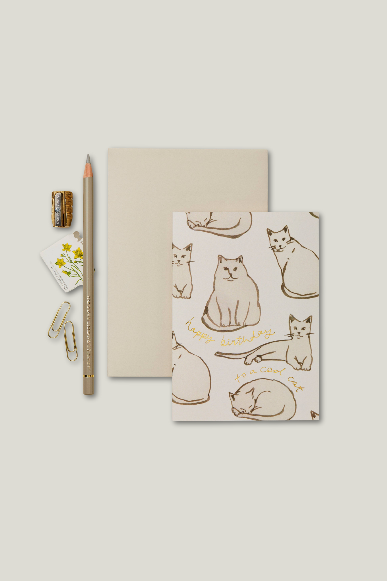 Cats 'Happy Birthday to a Cool Cat' Card