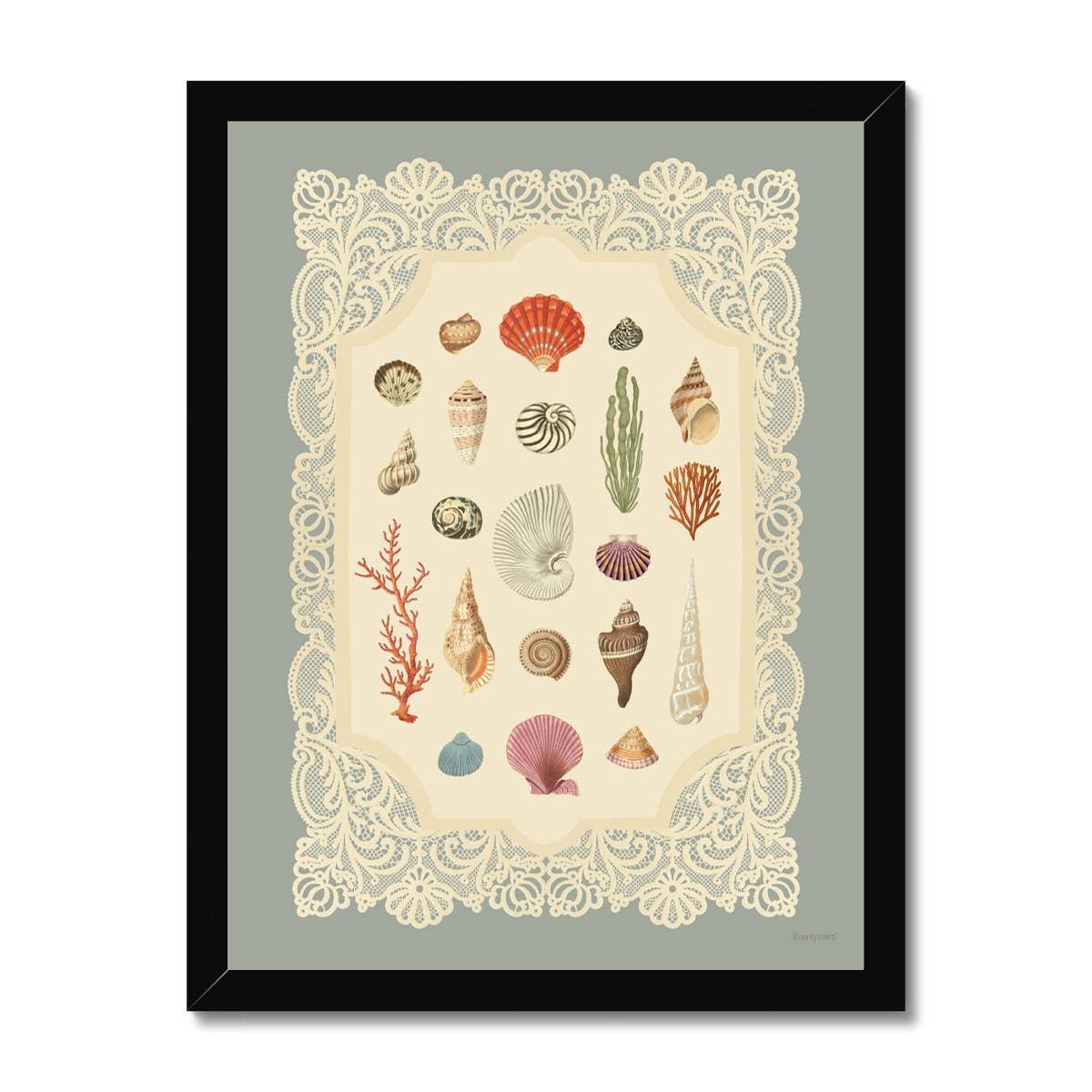 Specimens of the Sea Art Print | 11 x 14