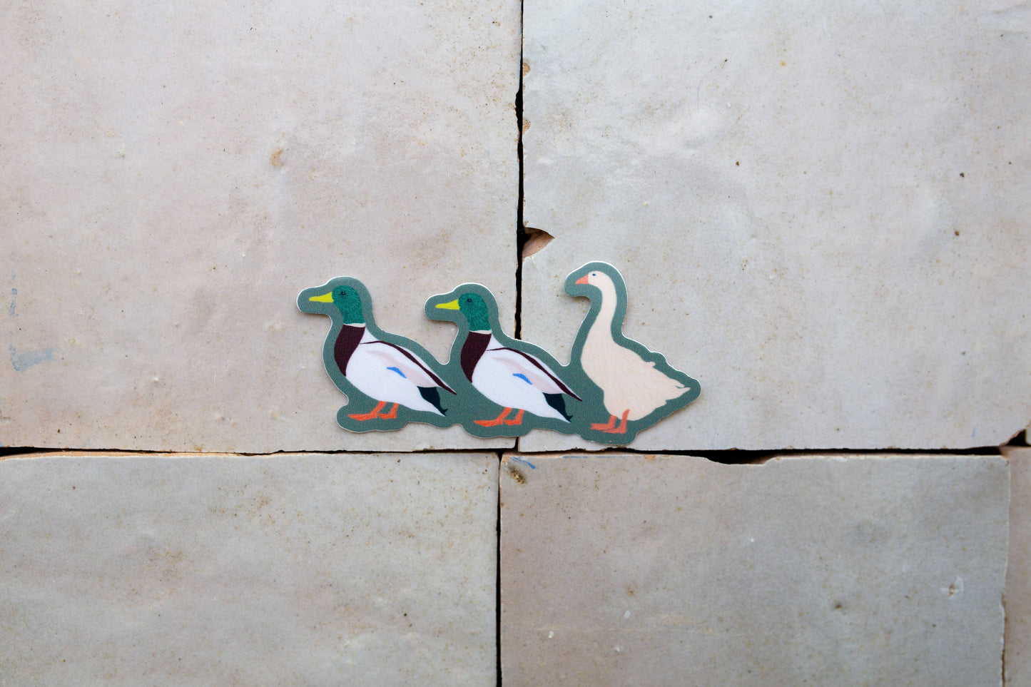 Duck Duck Goose Sticker