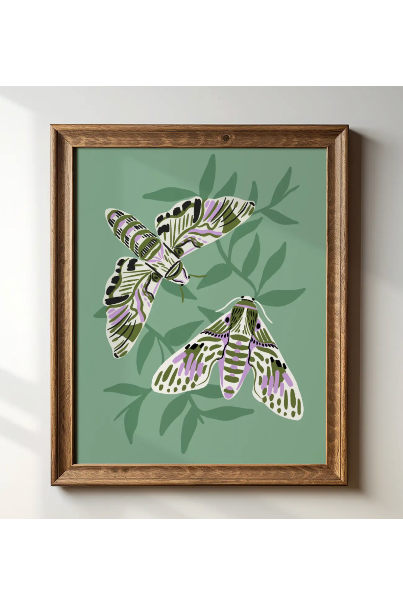 Hawk Moths Art Print | 8" x 10"