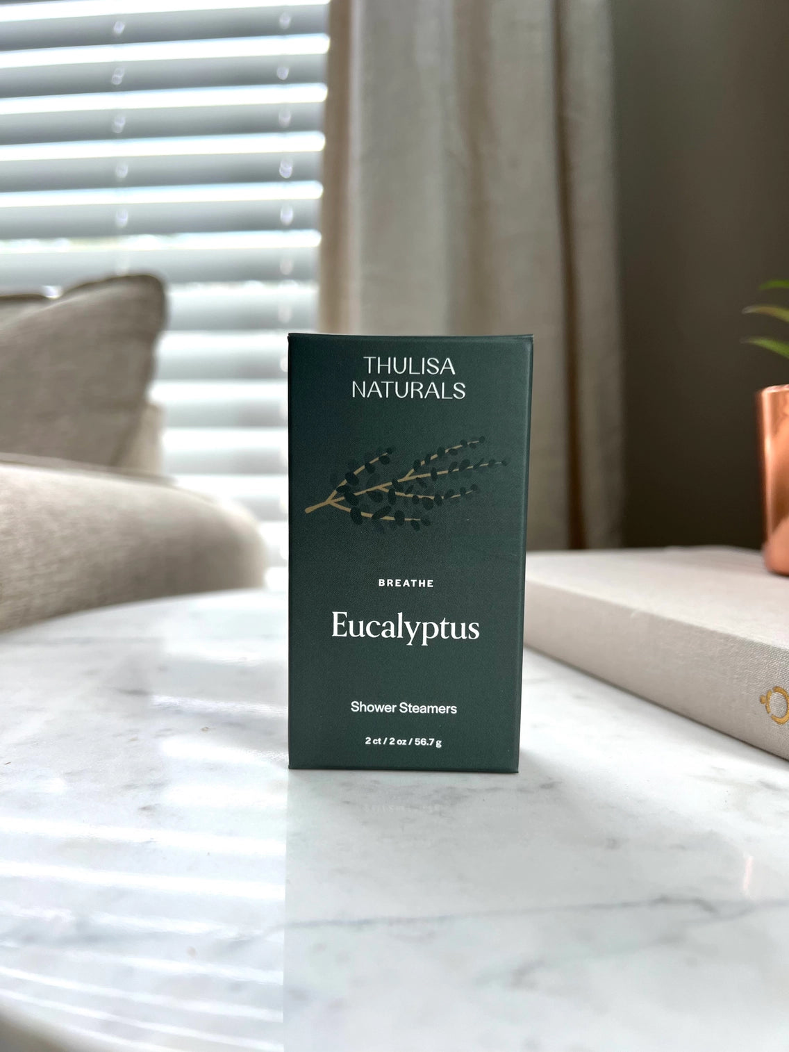 Eucalyptus Shower Steamers | 2 pack