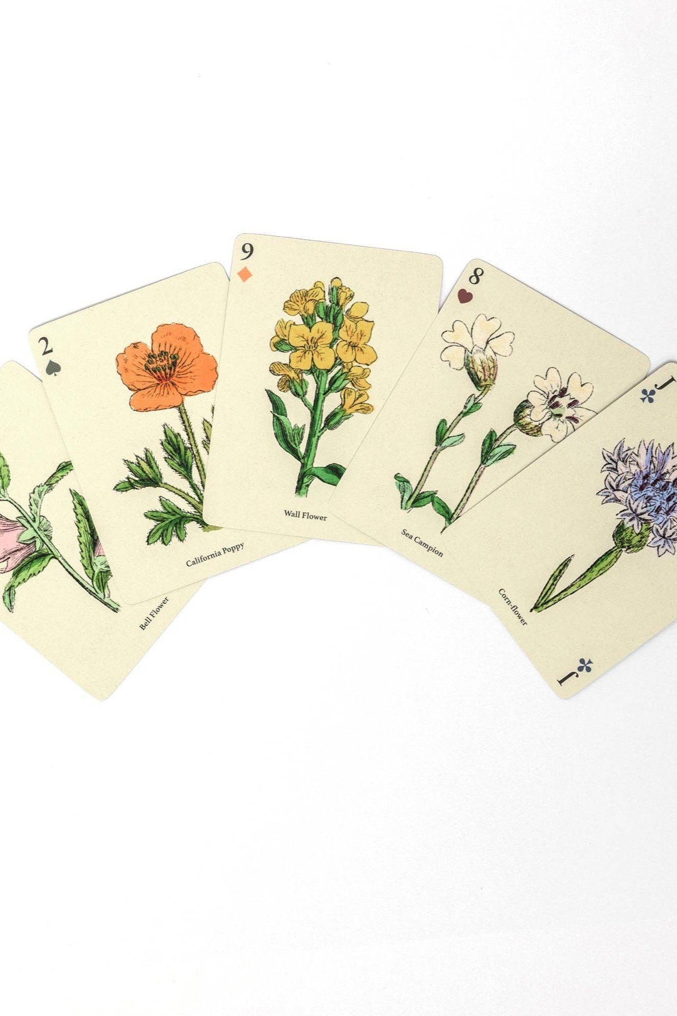 Wildflowers Playing Card Deck