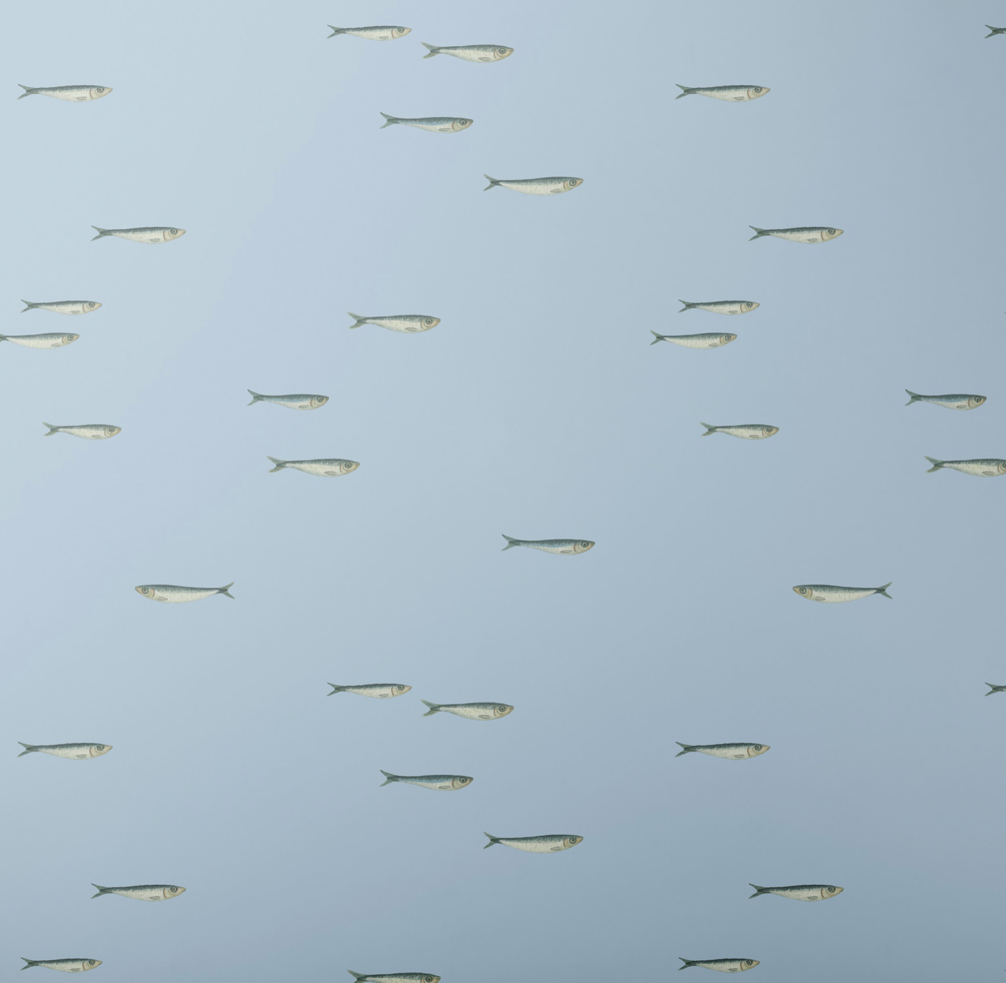 La Mer Sardines Wrapping Paper