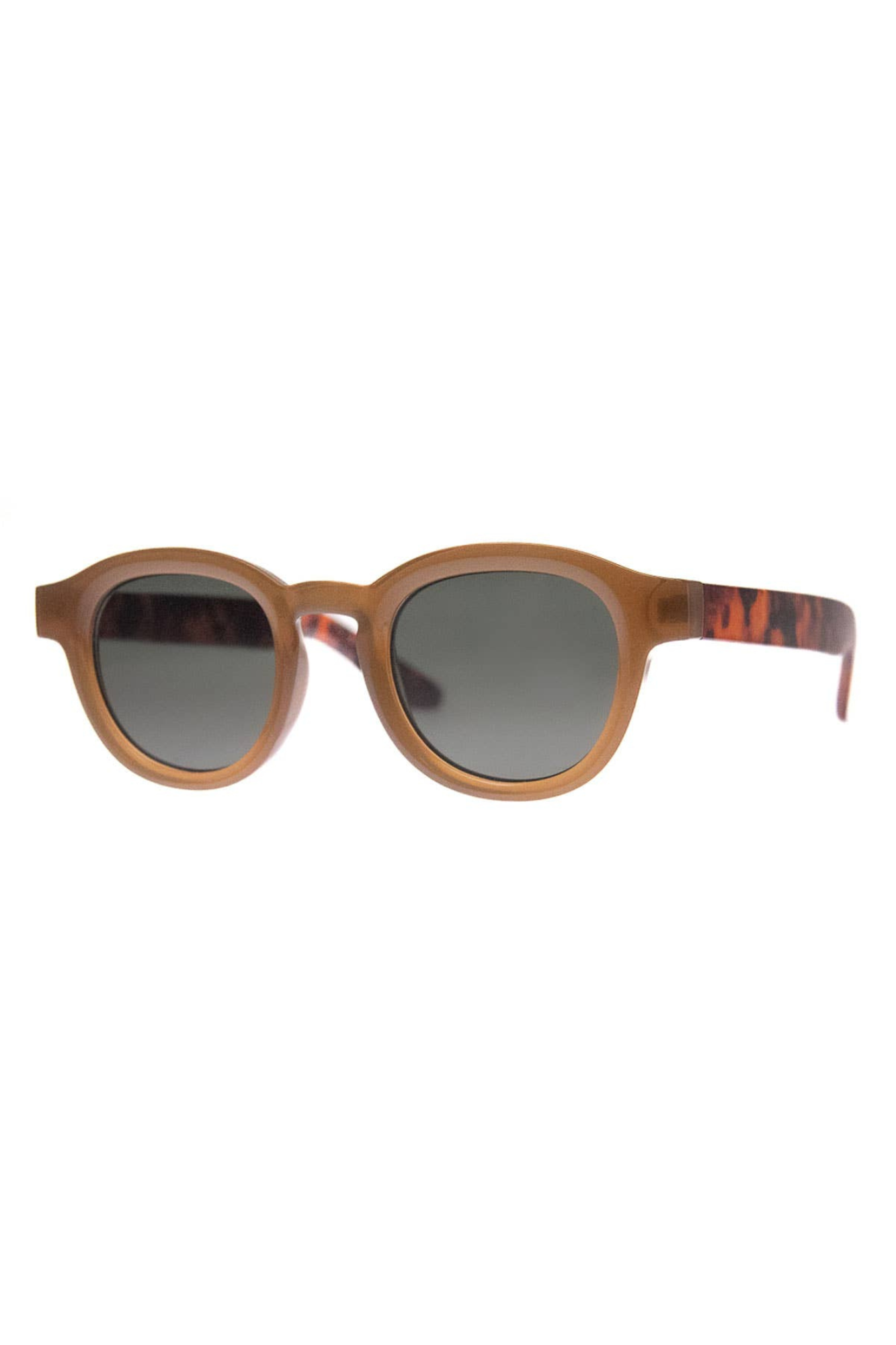 Hello Sunnies | Brown Tortoise