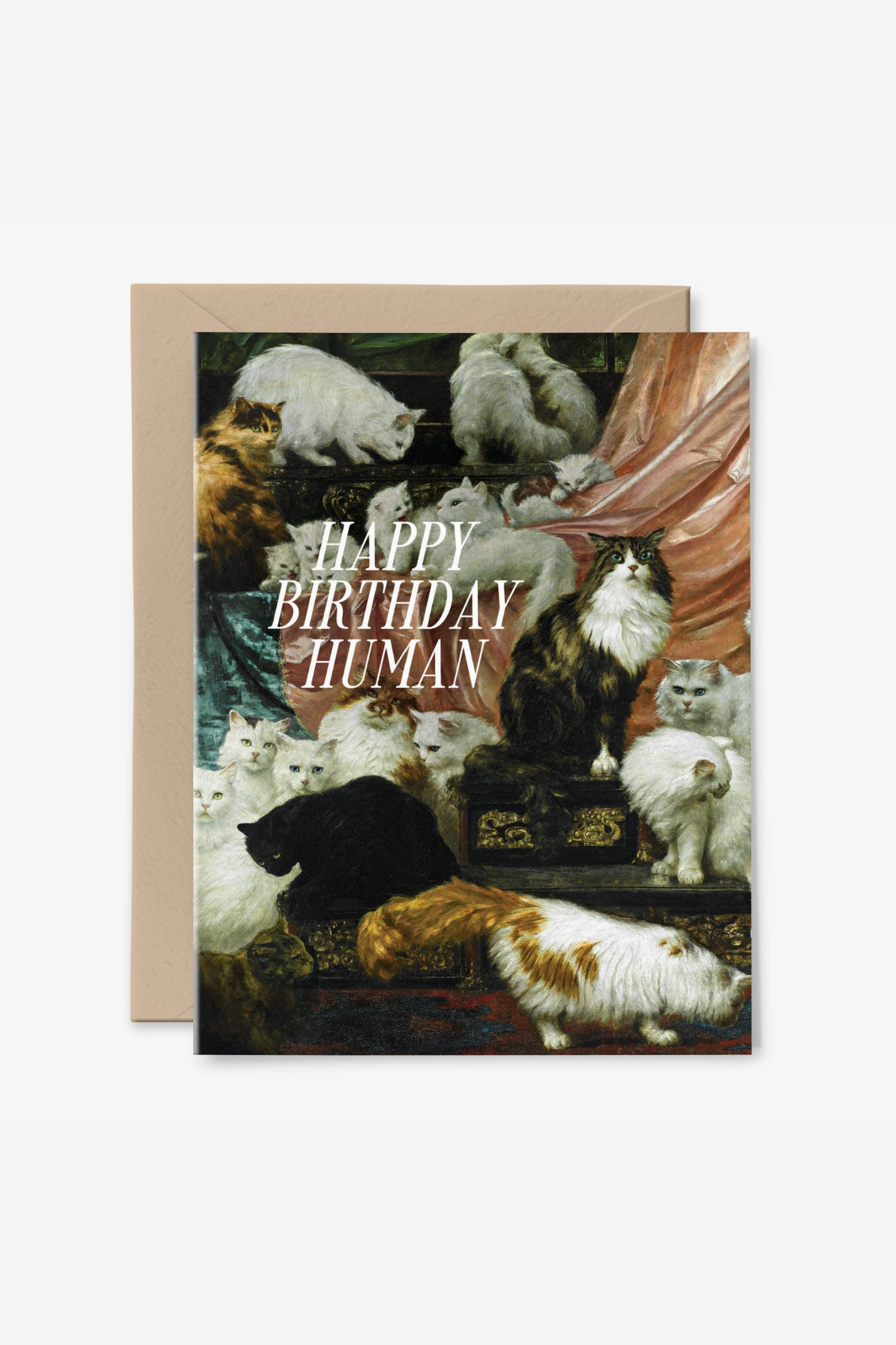 Happy Birthday Human Card