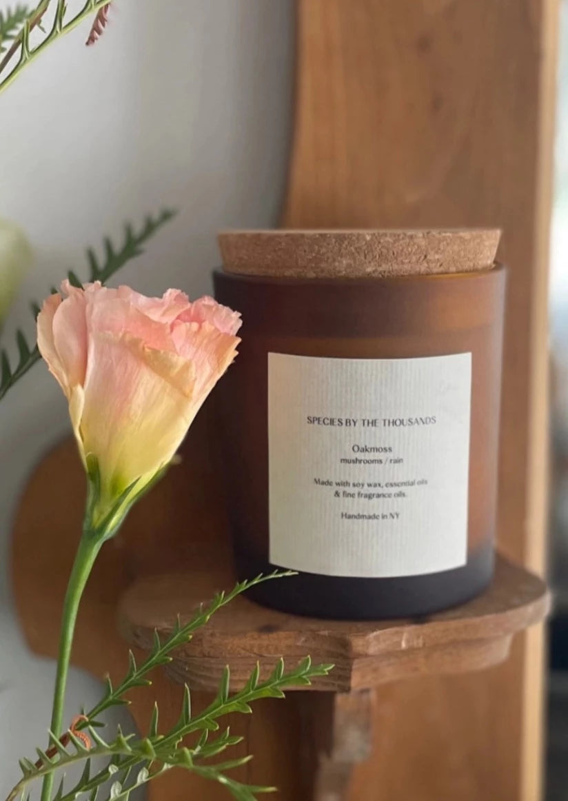 Oakmoss, Mushrooms + Rain Handcrafted Scented Soy Candle