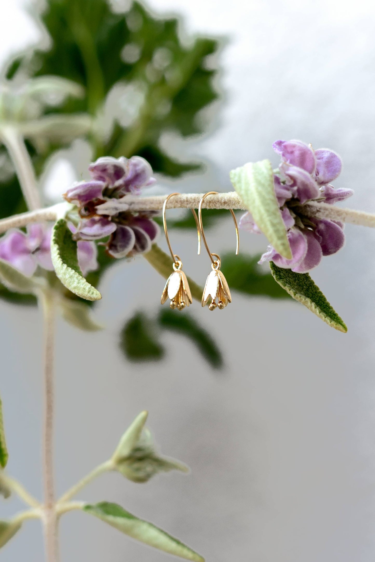 Courtenay Tulip Earrings | Gold