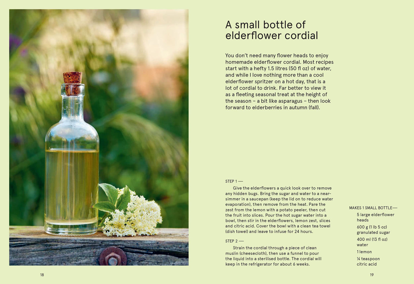 The Flowerpot Forager: An Easy Guide to Growing Wild Food at Home