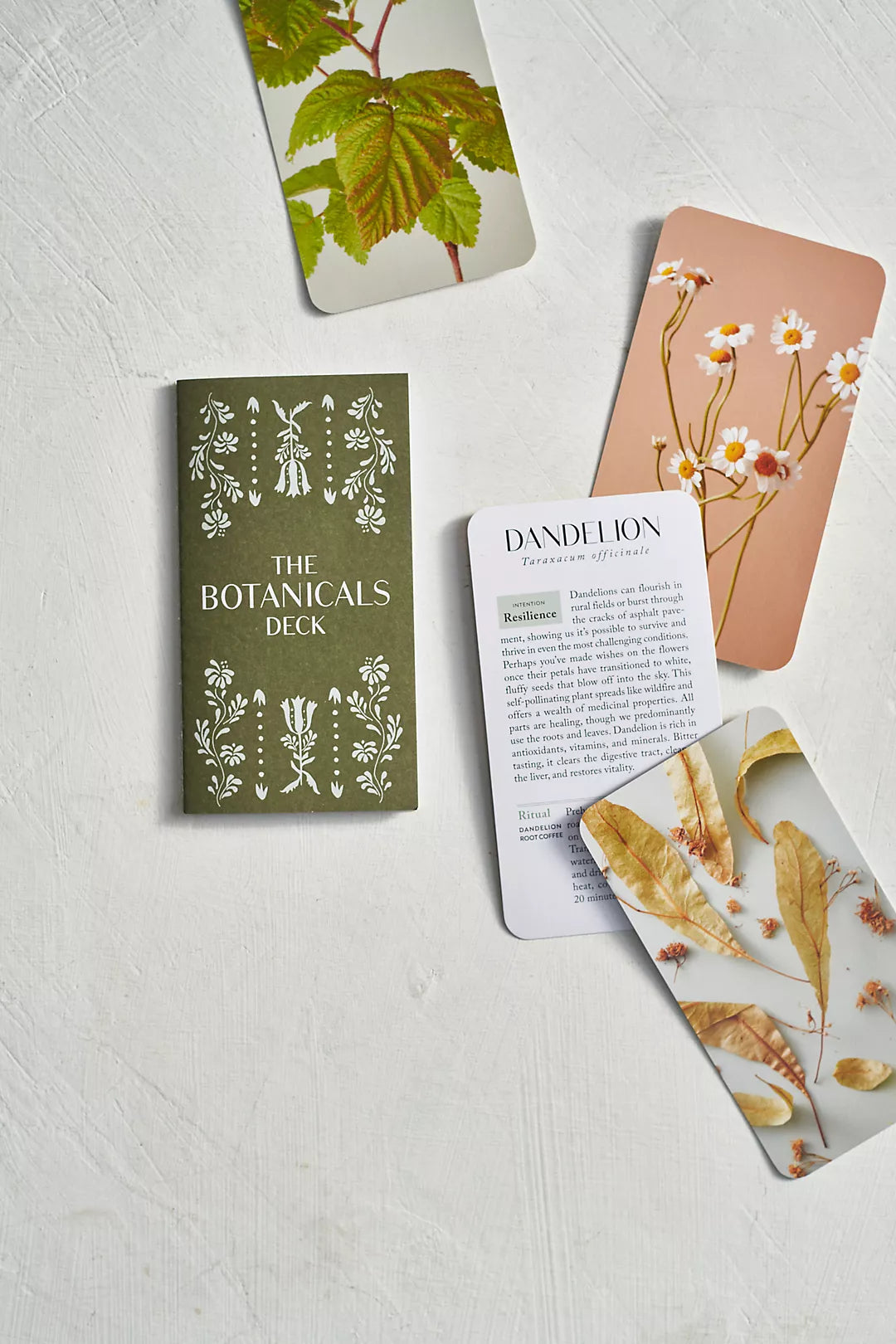 The Botanicals Deck: 70 Plants and Flowers to Enhance Your Life―Plus Herbal Recipes and Rituals
