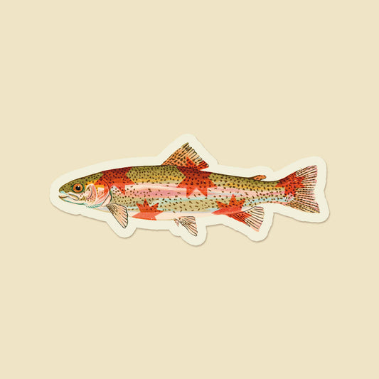 Rainbow Trout Sticker
