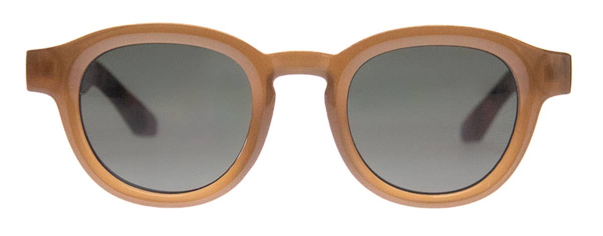 Hello Sunnies | Brown Tortoise