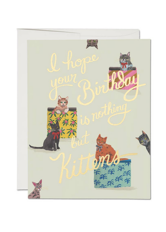 Nothing But Kittens Birthday Card