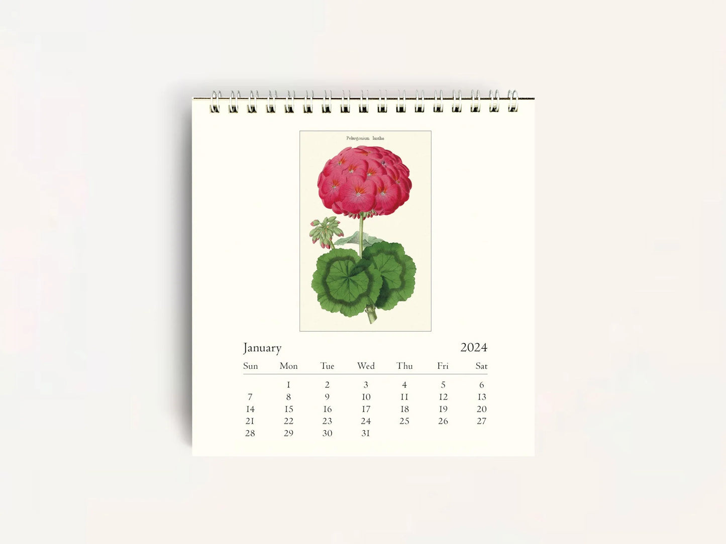 Botanica Desk Calendar 2024