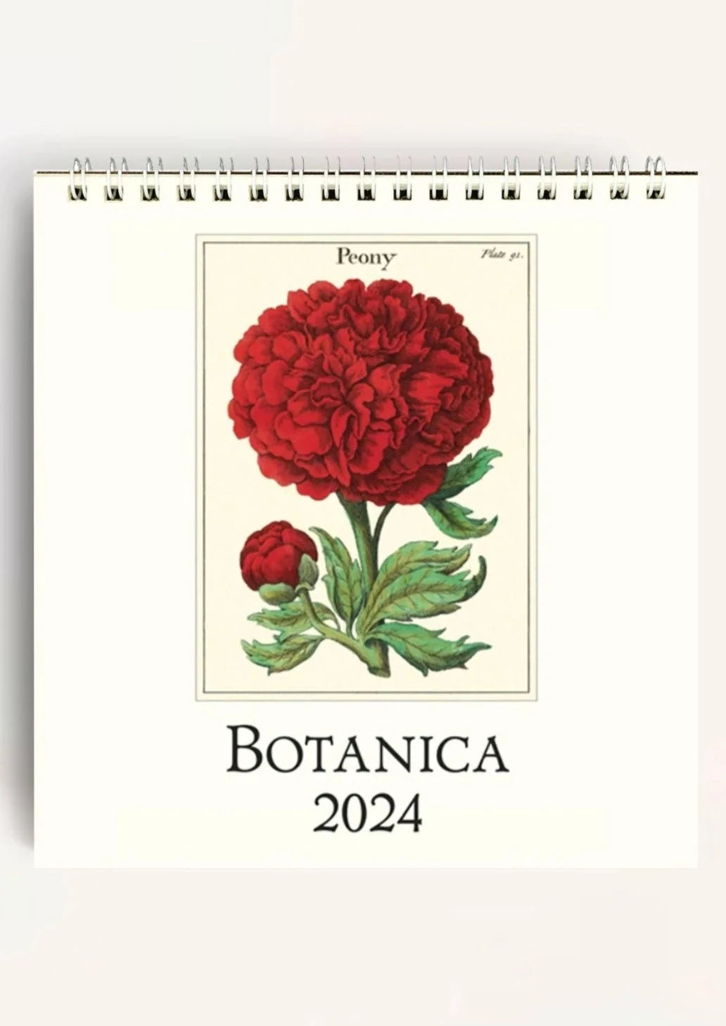 Botanica Desk Calendar 2024