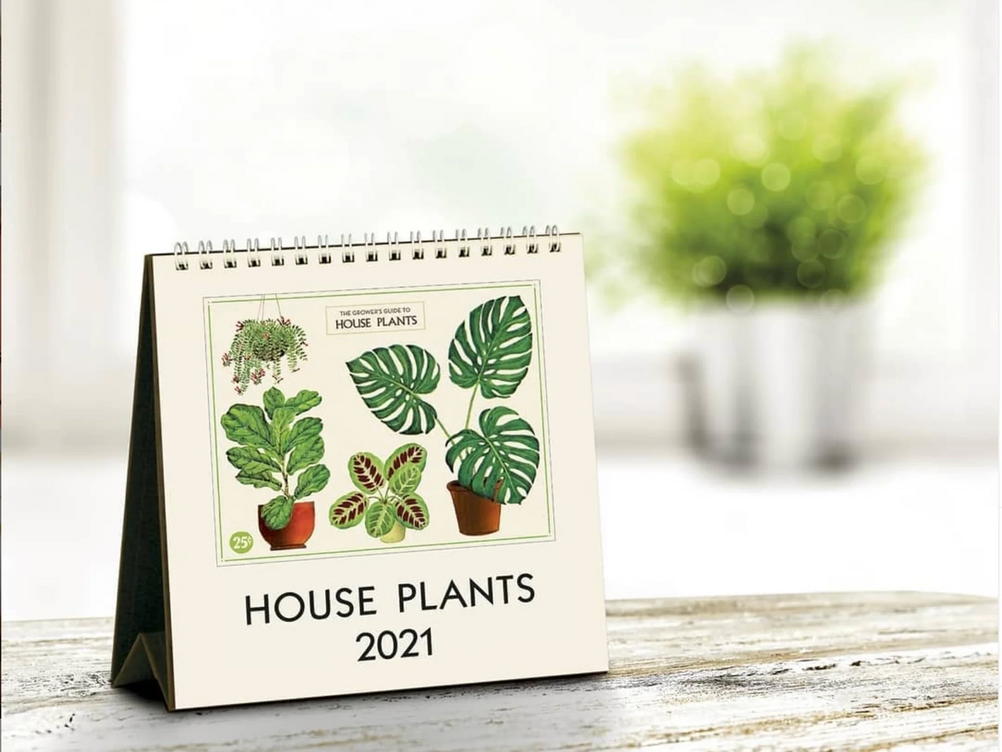 National Parks Desk Calendar 2024