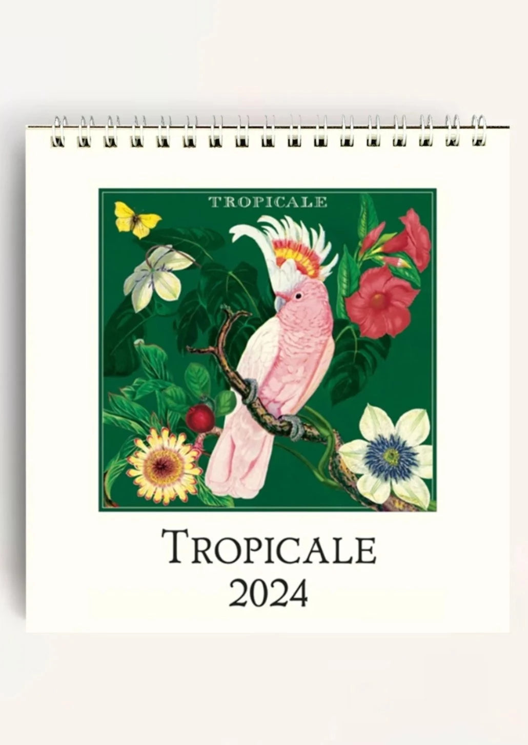 Tropicale Desk Calendar 2024