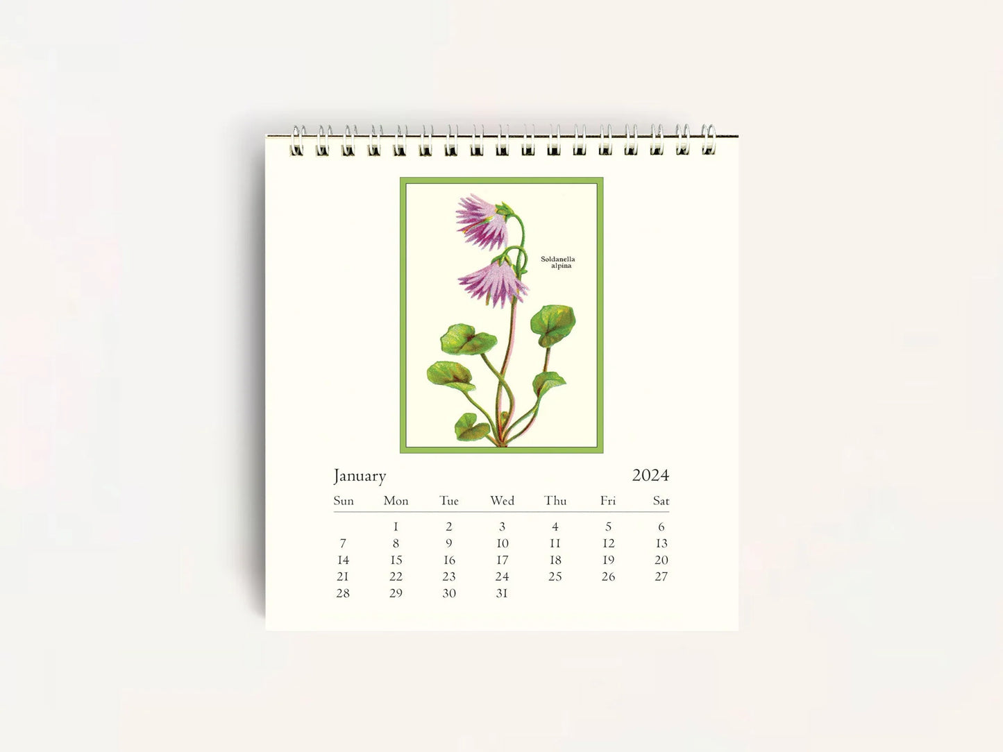 Wildflowers Desk Calendar 2024