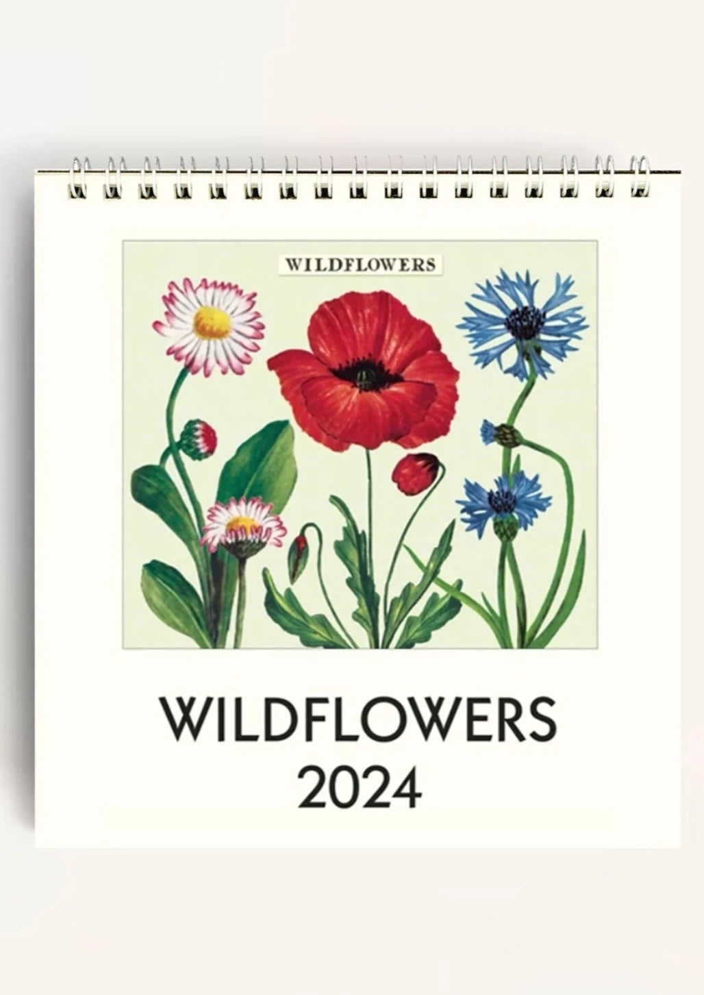 Wildflowers Desk Calendar 2024