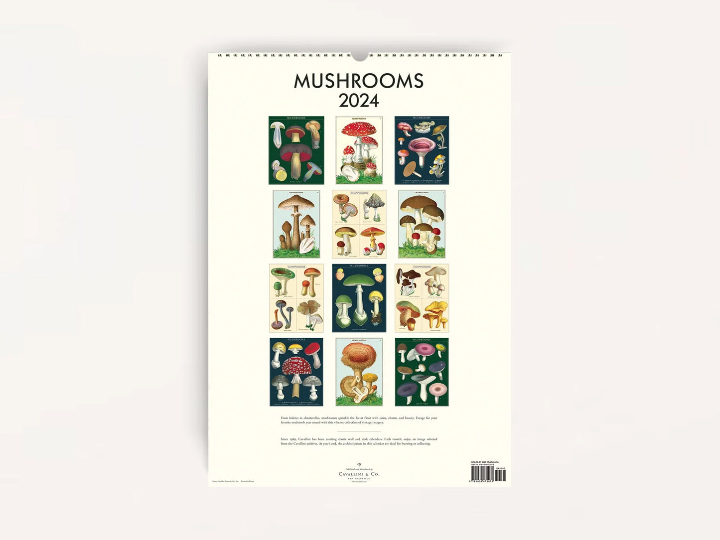 Mushrooms Wall Calendar 2024