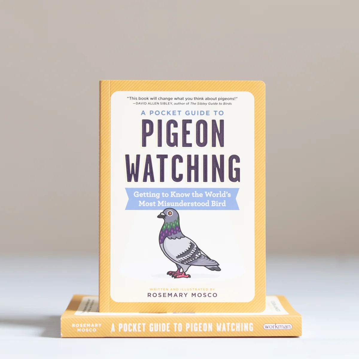 A Pocket Guide to Pigeon Watching: Getting to Know the World's Most Misunderstood Bird
