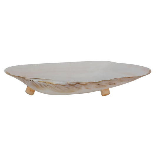 Natural Shell Footed Tray | Large