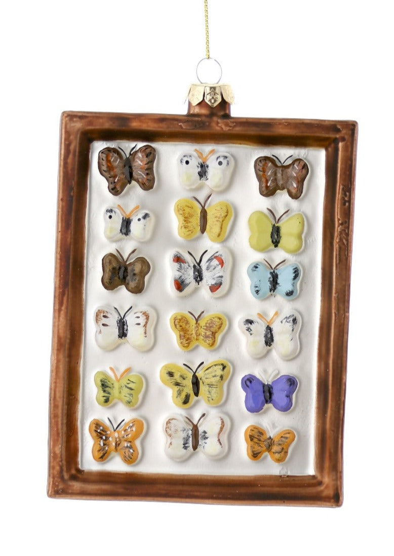 Framed Butterfly Curiosity Ornament