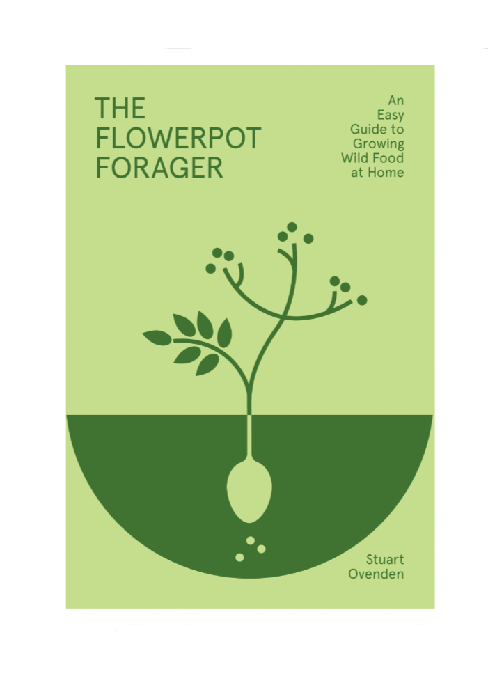 The Flowerpot Forager: An Easy Guide to Growing Wild Food at Home