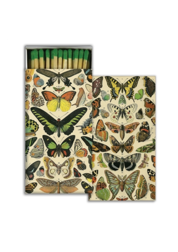 Butterfly Specimens Matches