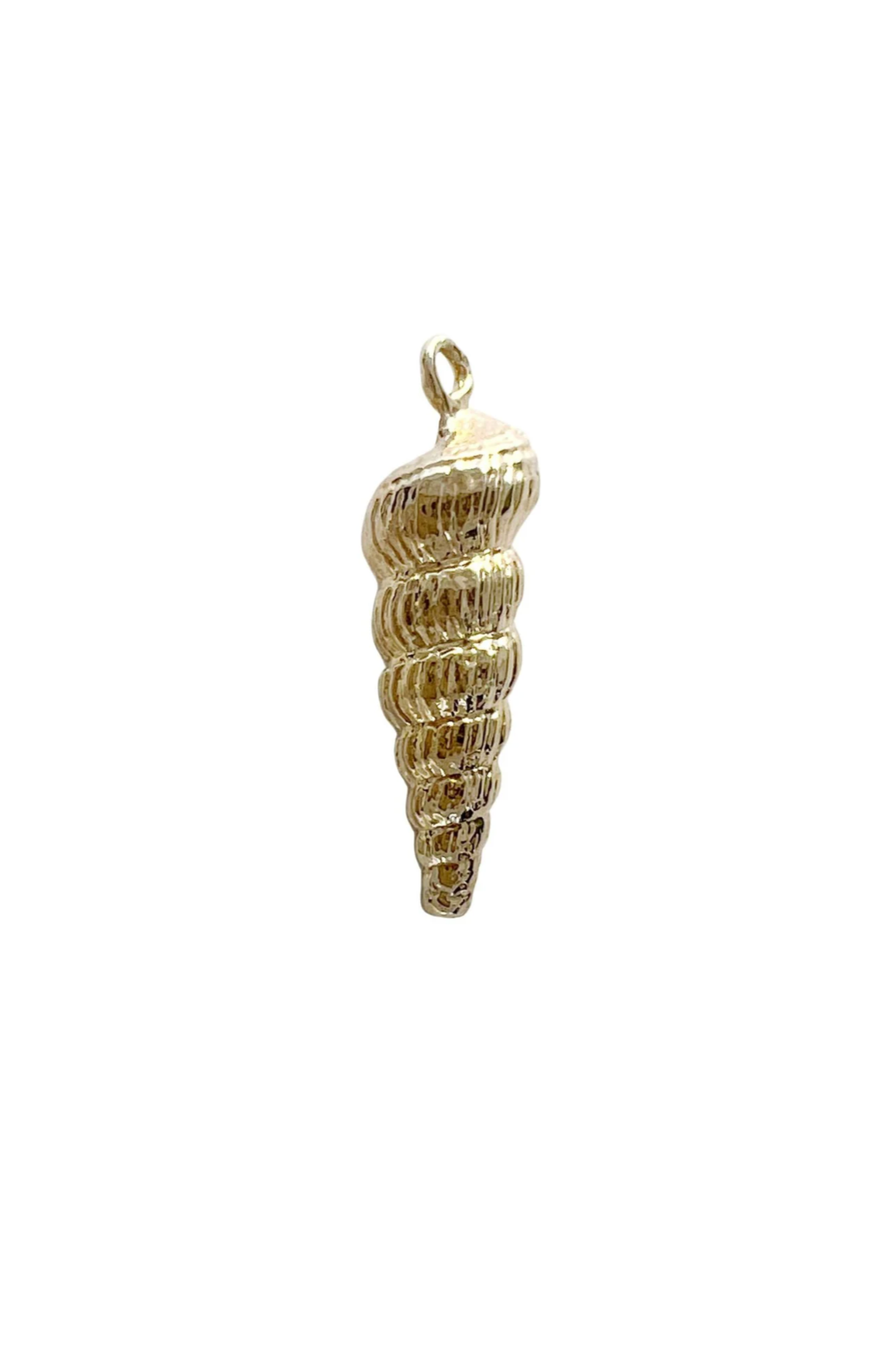 Auger Shell Charm