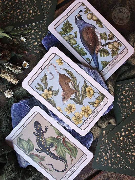 Woodland Wardens Oracle Deck
