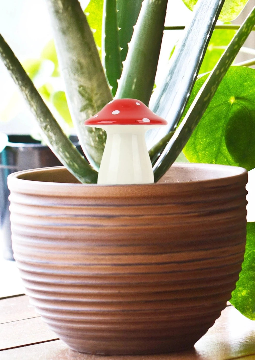 Self Watering Plant Dispenser | Mushroom