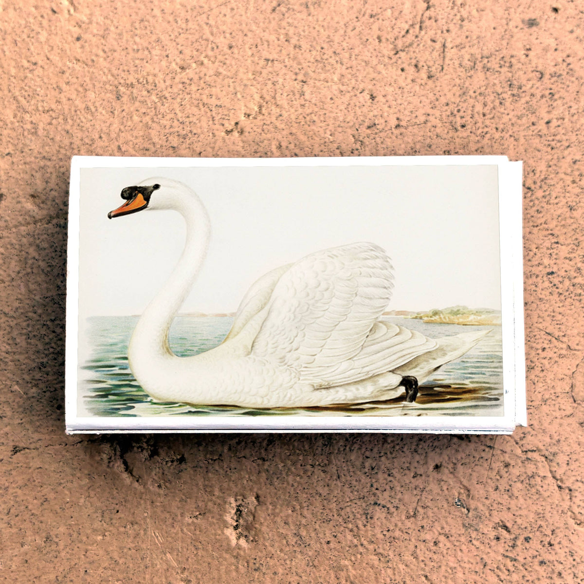 Serene Swan Matchbook
