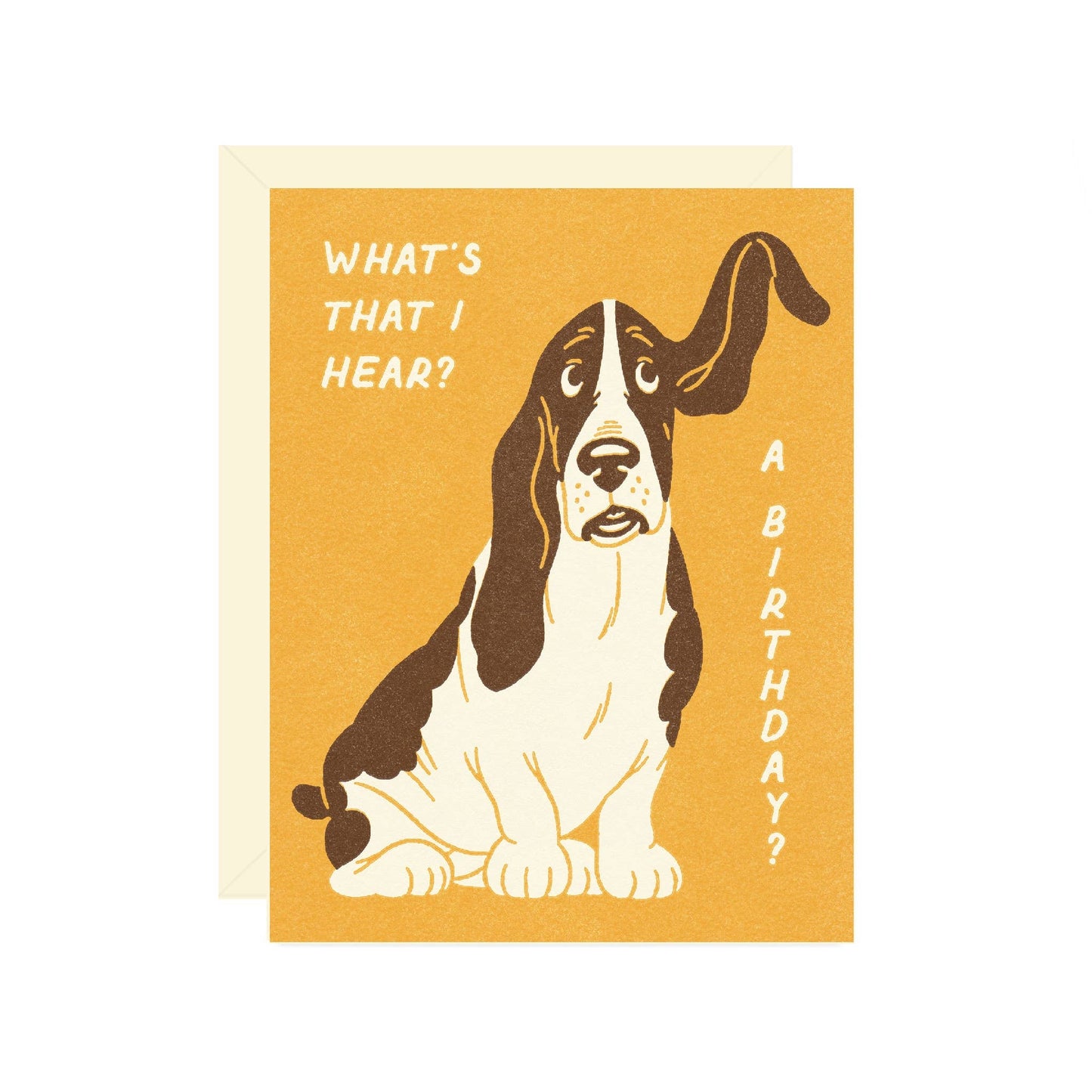 Basset Hound Birthday Card