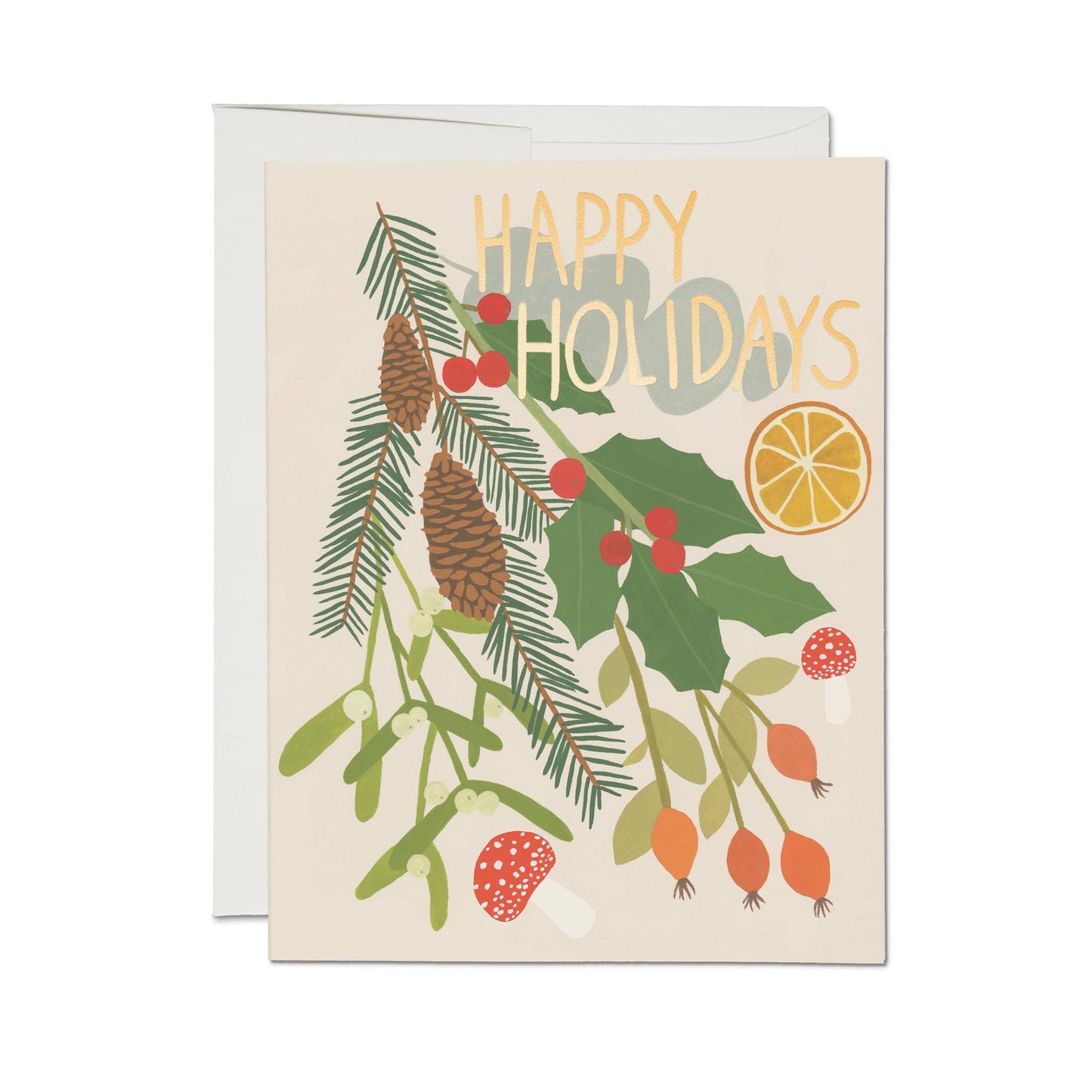 Holiday Green Holiday Cards | Boxed Set of 8