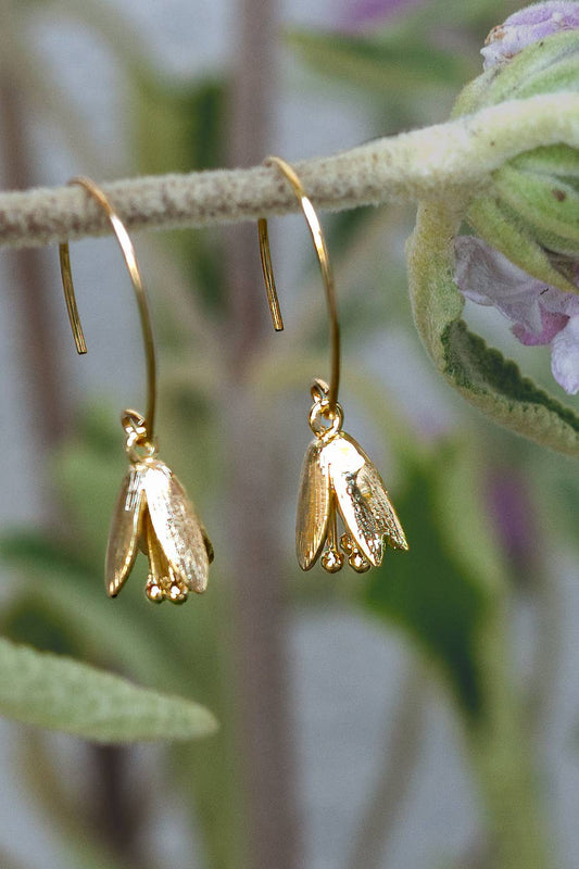 Courtenay Tulip Earrings | Gold