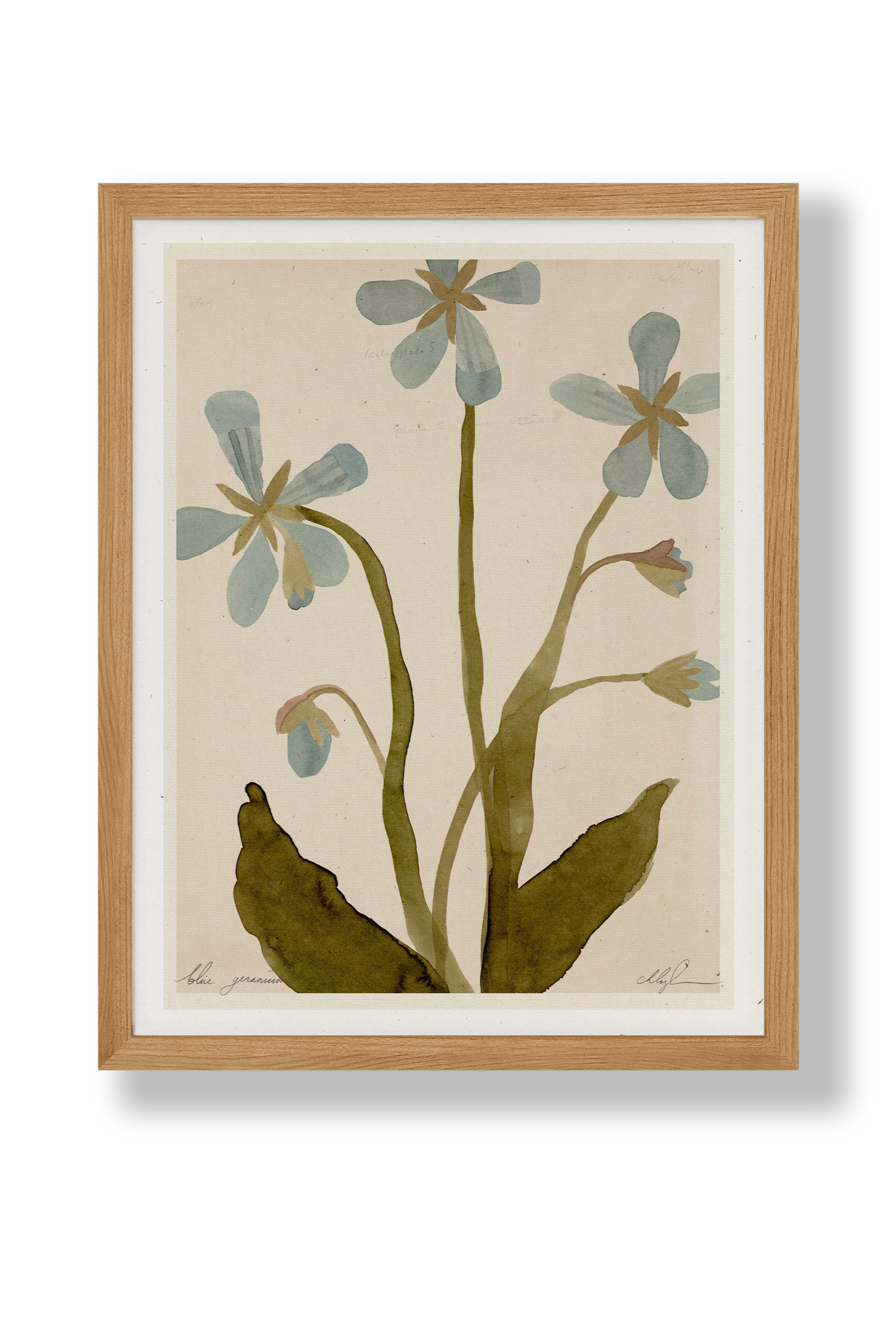Blue Geranium | 8.5 x 11