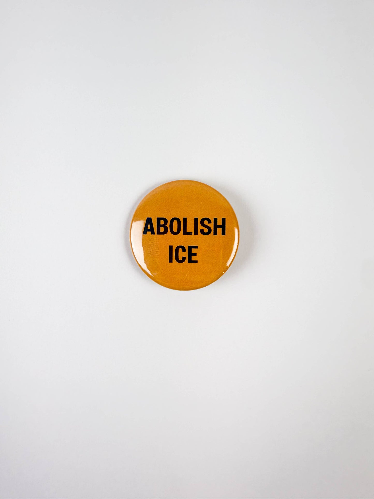 Abolish Ice Pinback Button
