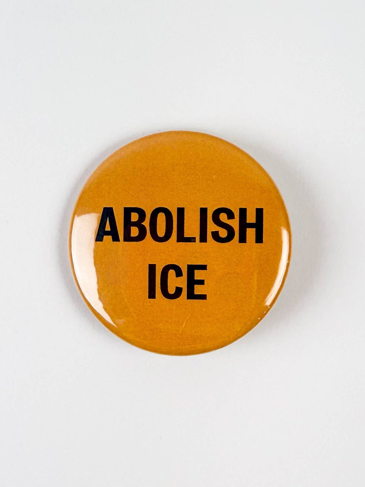 Abolish Ice Pinback Button