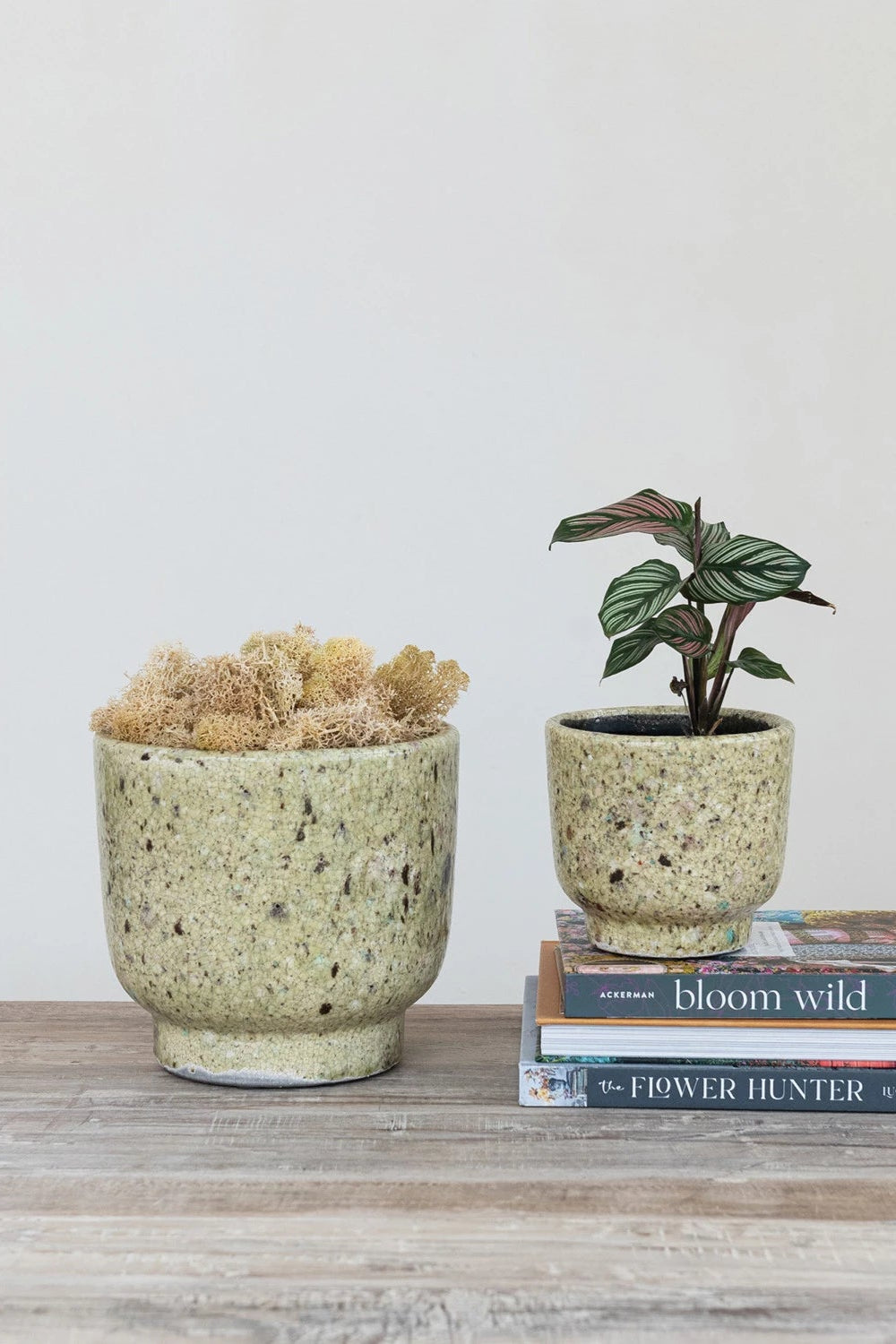 Terracotta Footed Planters