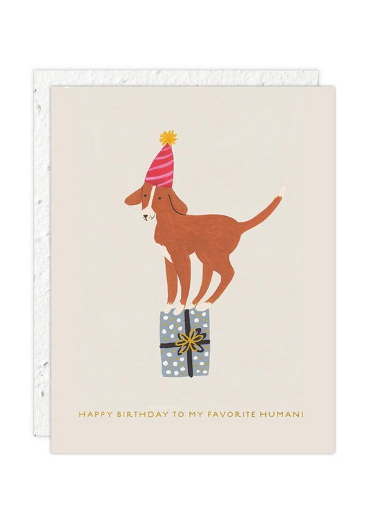 Dog + Gift Birthday Card
