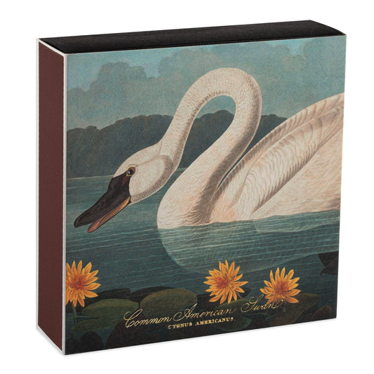 The Common American Swan | Square Matches