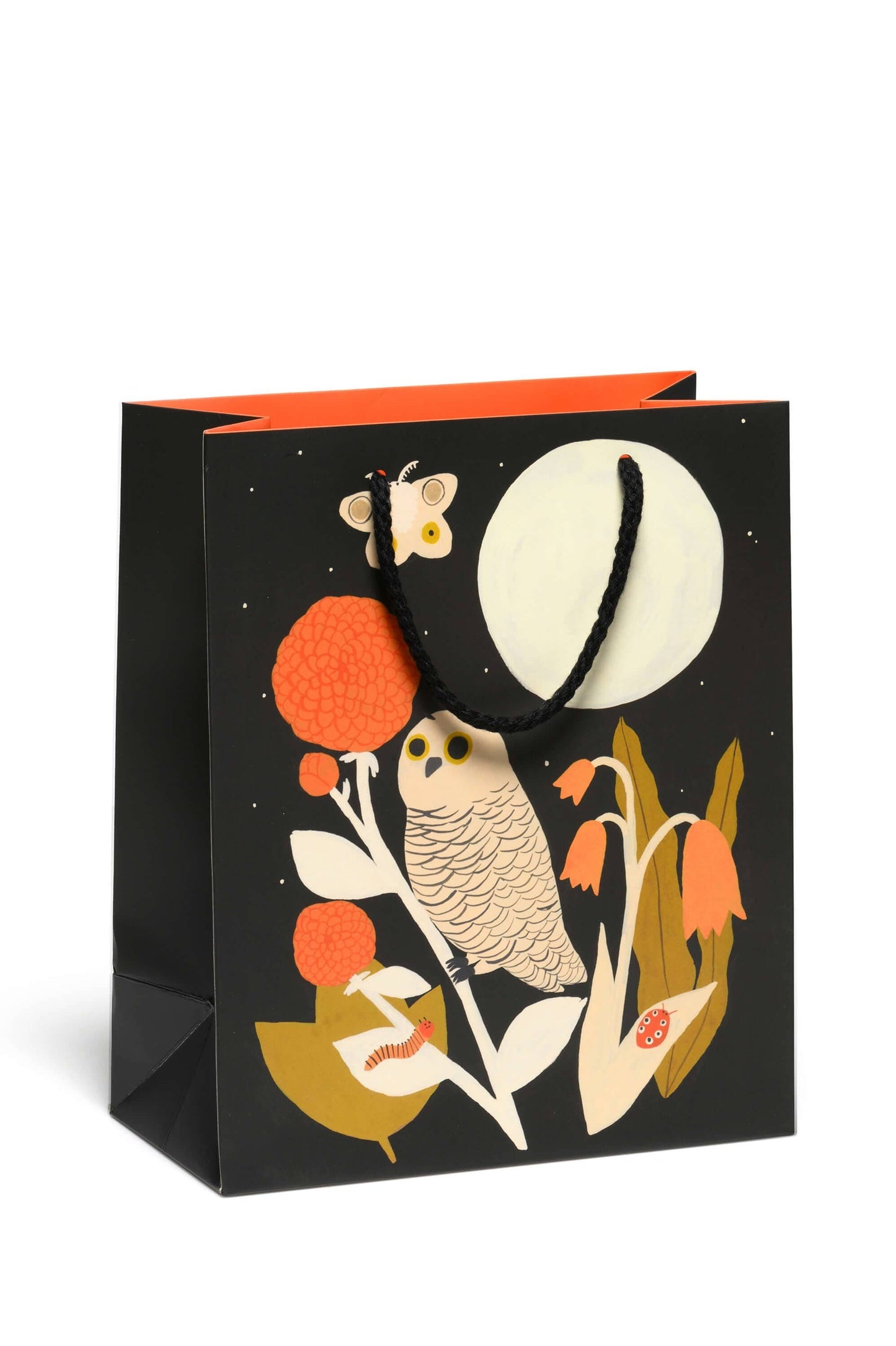 Owl and Moth Gift Bag | Medium