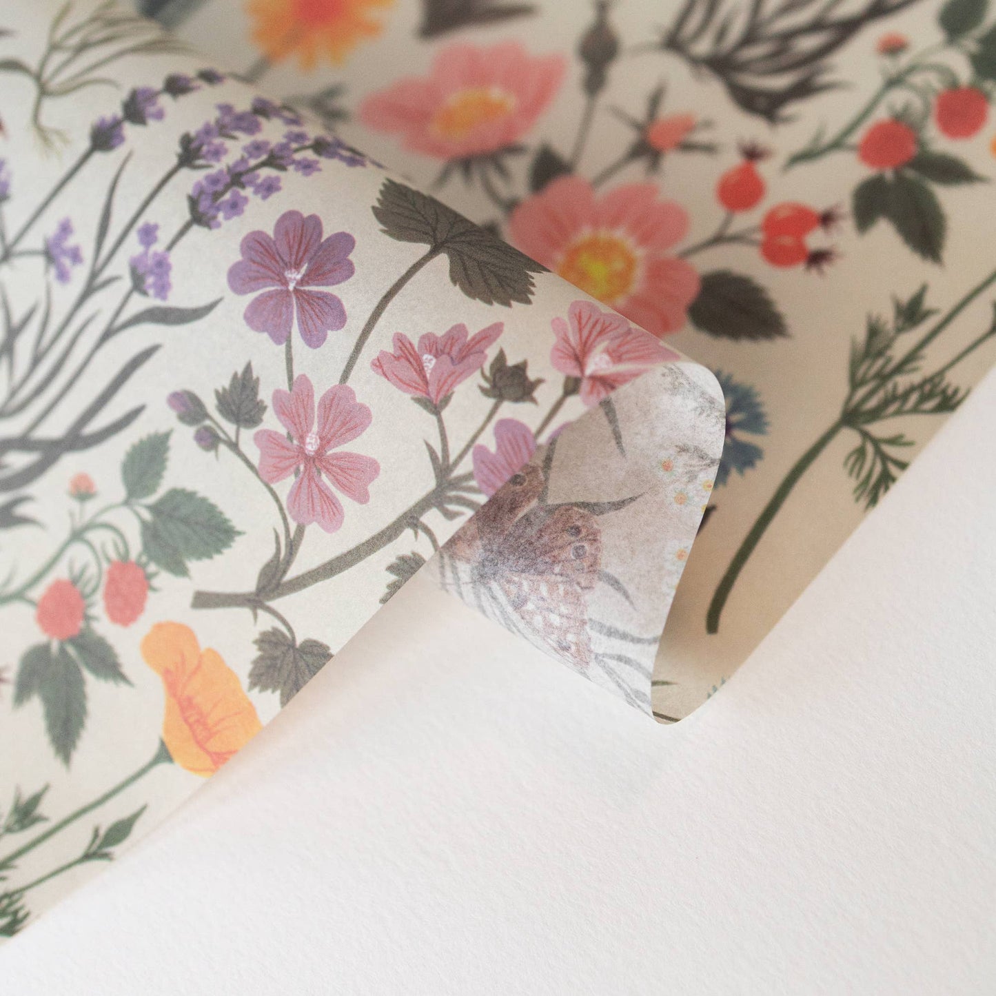 Tissue Paper Pack | Botanist