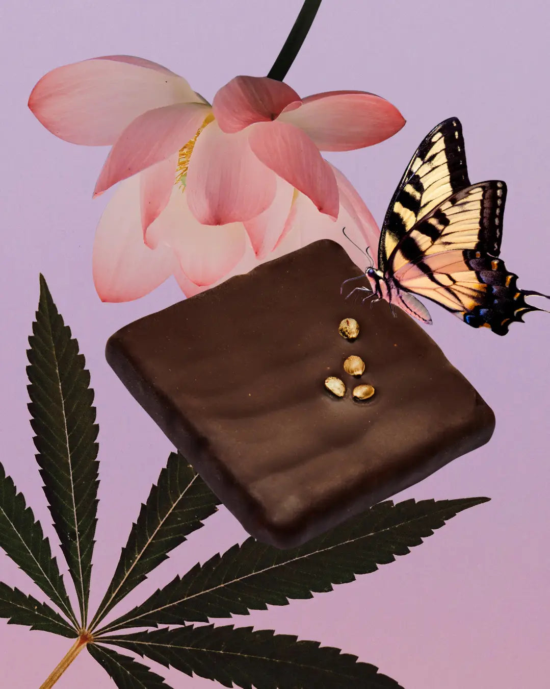 Chakra Chocolate | Hemp & Carob